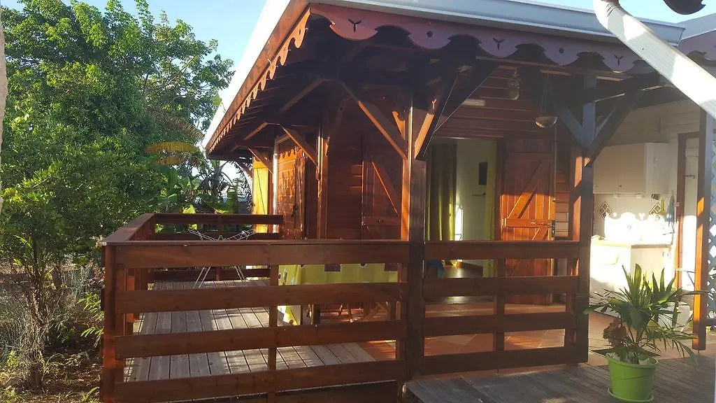 Gite Les Palmistes Vallee d'Or Holiday home